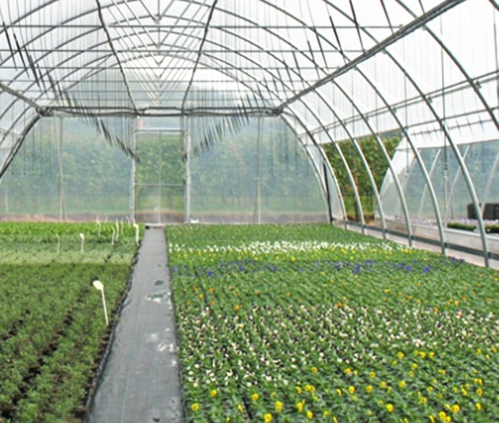 Flores frutas vegetales comerciales sistemas hidropónicos para invernaderos Aeroponics System Multi Span de gases de efecto