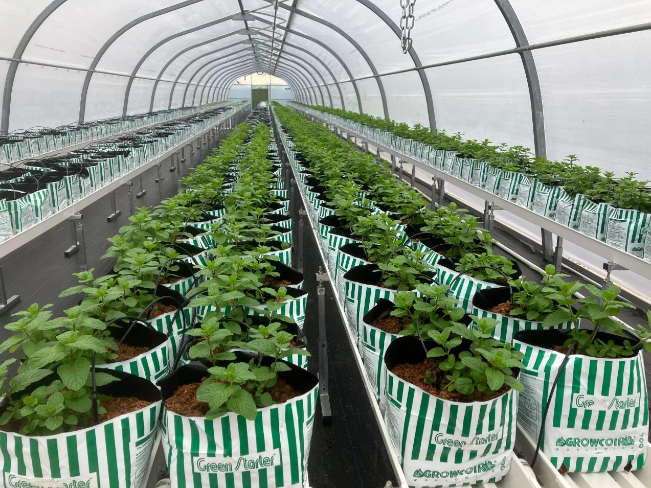 Plantas de cultivo hidropónico tubo de canal de PVC sistema de agricultura interior NFT Equipo