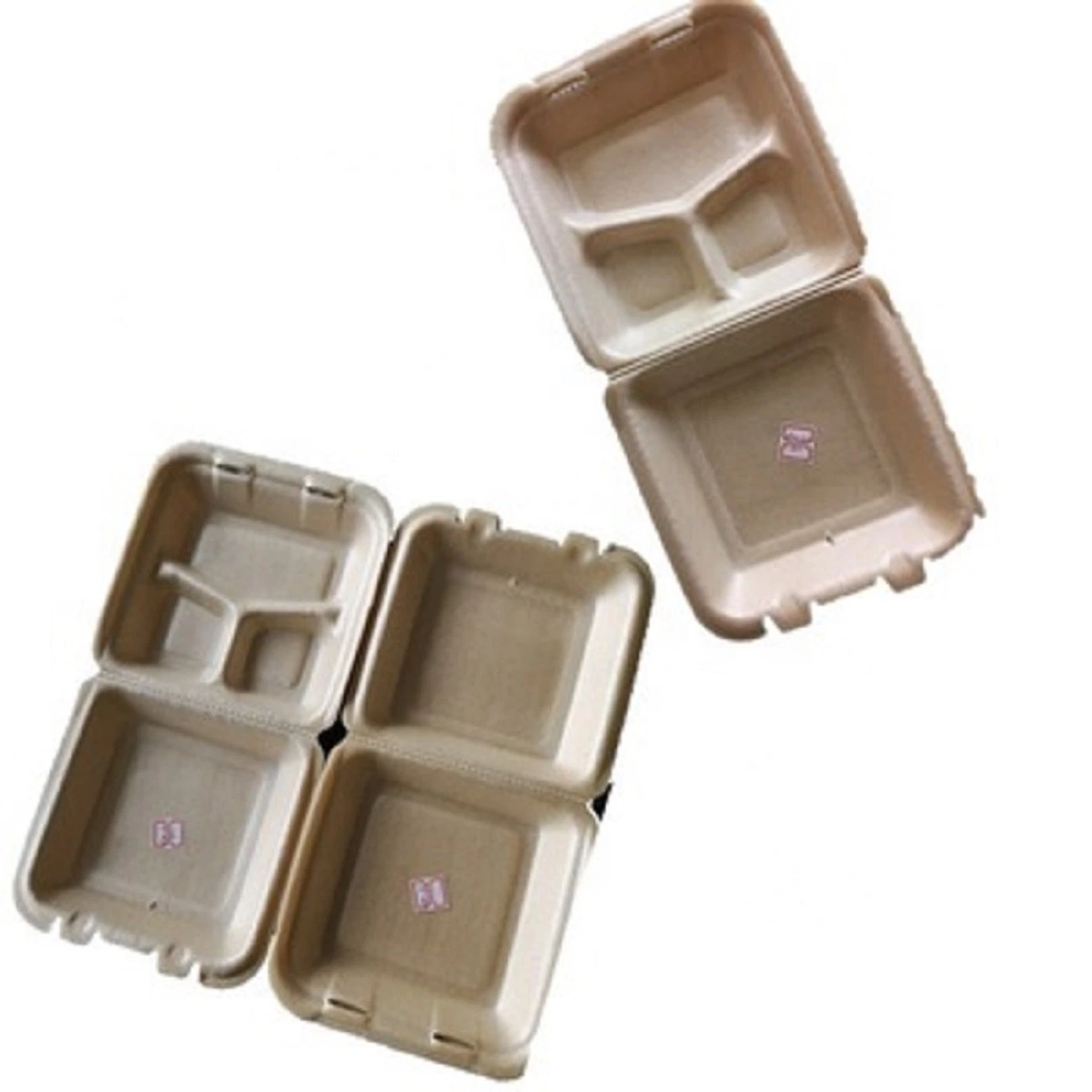 PLA de la bandeja de carne de la formación de espuma biodegradable, Frutas y Hortalizas Frescas Caja Estuche Contenedor con tapa