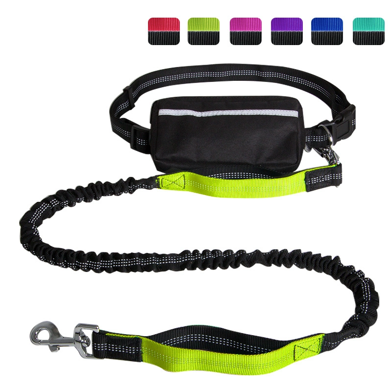 Luxury Durable Cozy Soft Webbing Metal Pet Collar Custom Color Dog Lead