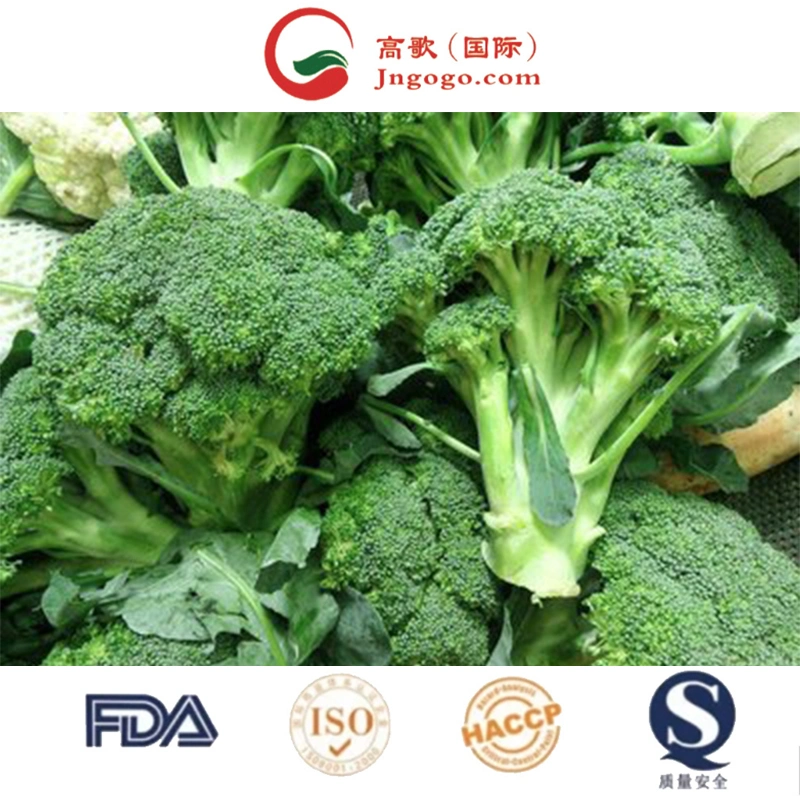 2022 de haute qualité brocoli surgelé de légumes frais