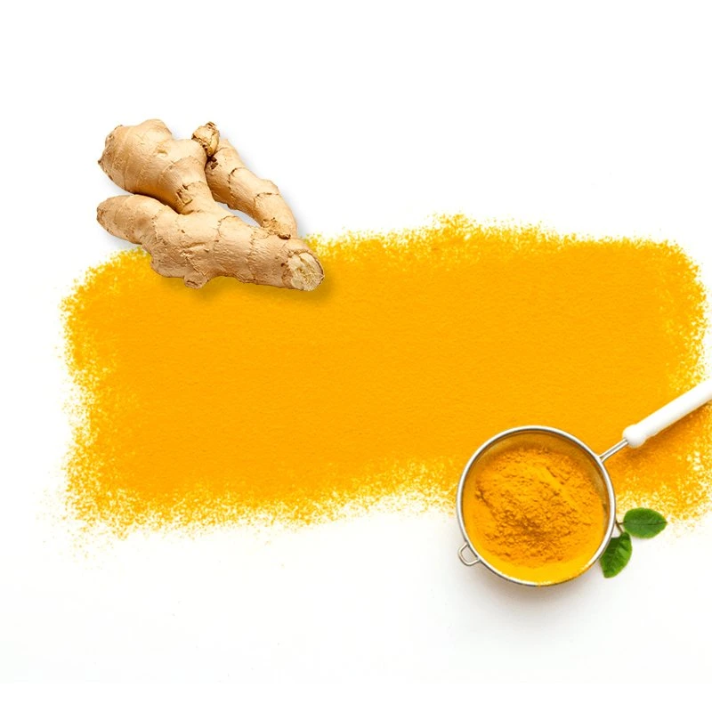 Qualitätssicherung Pflanzenextrakte Curcumin Kurkuma Wurzel Extrakt in Pulver Kurkuma