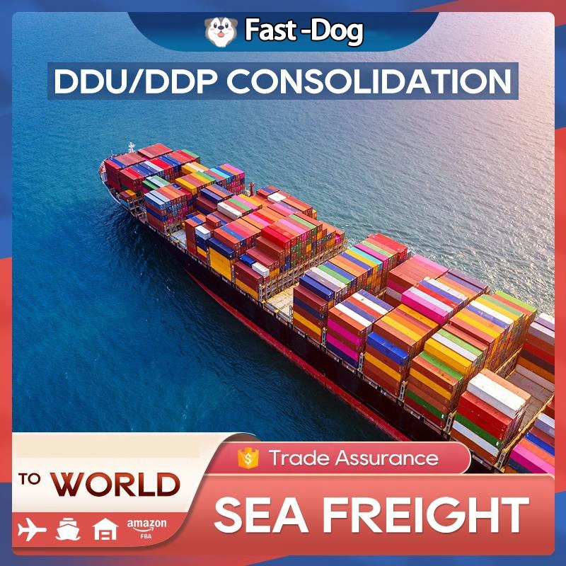 Most Cheapest Freight Forwarder Door to Door Service Fast Sea/Air Freight Shipping Agent to USA Europe France Canada UK Germany Jp