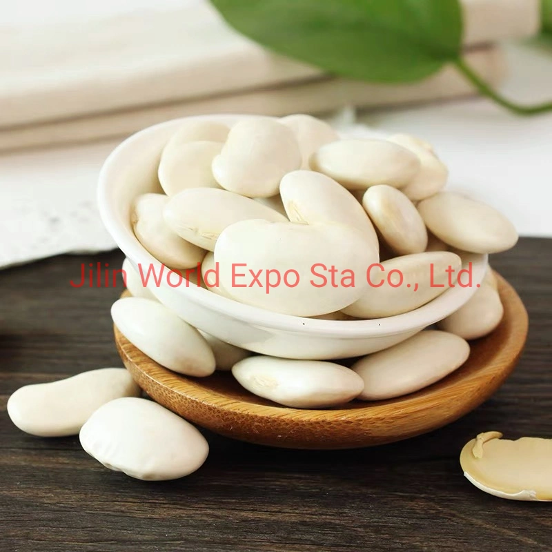 High quality/High cost performance Dried White Kidney Beans 200-230 From Factory