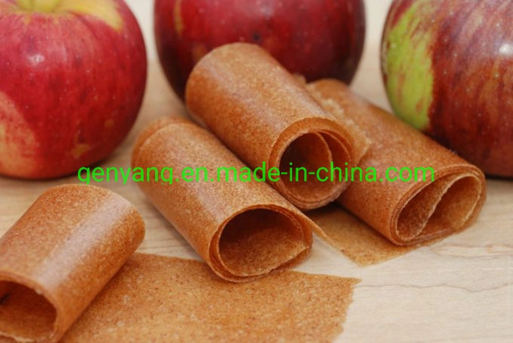 Dehydrated Fruit Leather Making Plant