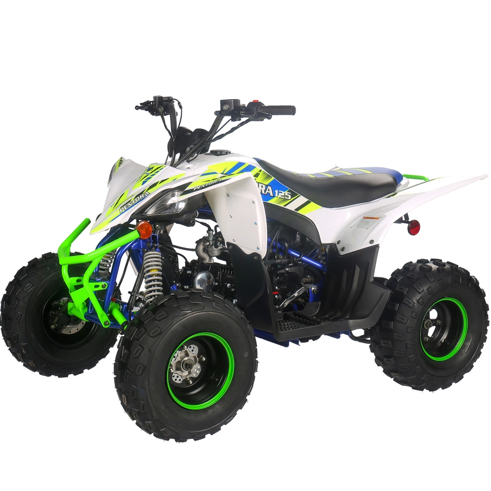 2022 الطراز الجديد 125cc Sport Mini ATV