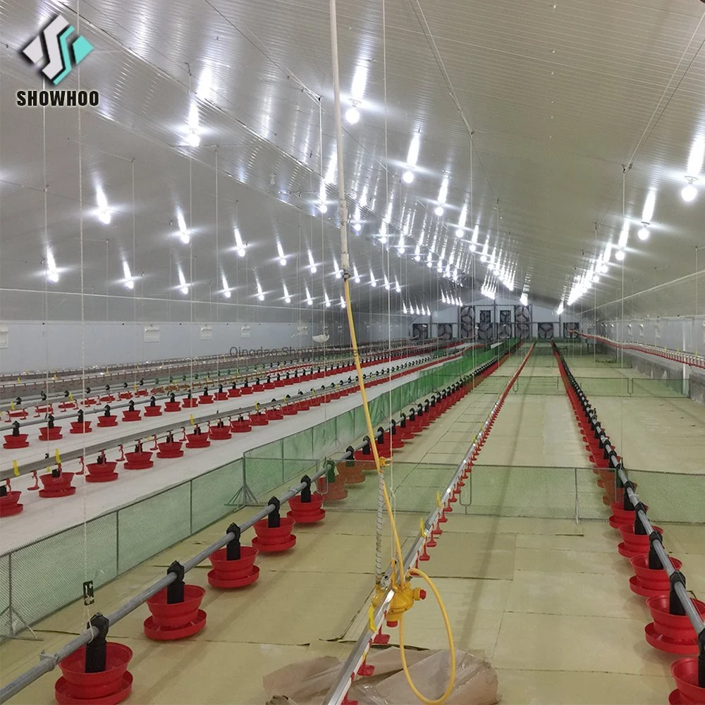 Automatic Prefabricated Steel Frame Building Modern Chicken Farm Poultry House