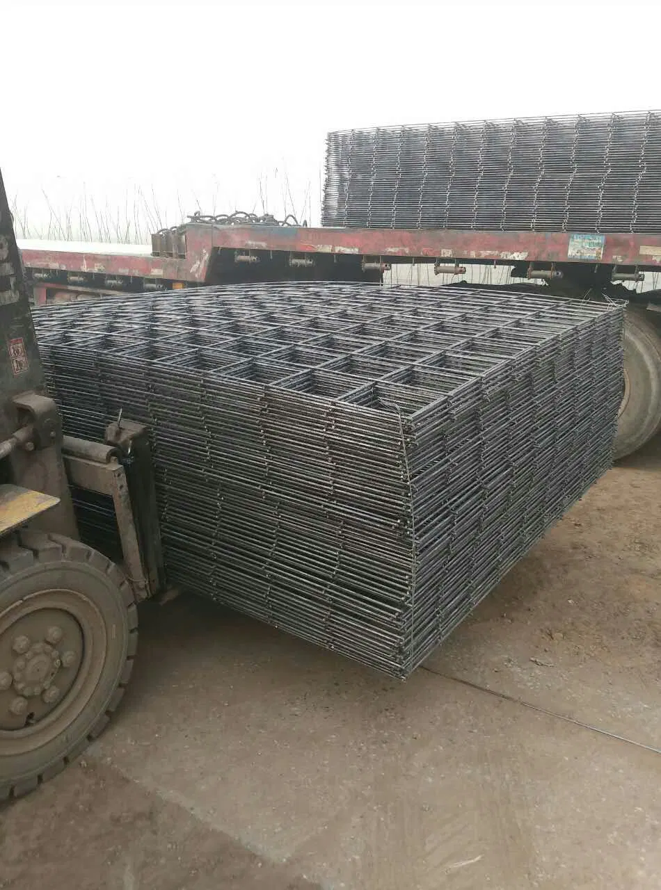 Factory Price Galvanized PVC Coated Welded Wire Mesh in Rolls