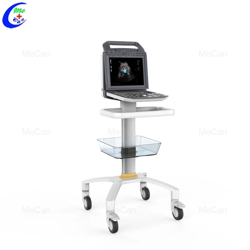 Ultrasonic Ultrasonido Portatil Medical Ecografo Portatil 2D/3D/4D Portable Color Doppler B Ultrasound