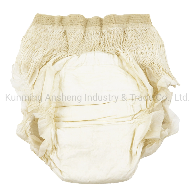 Wholesale Adult Briefs Adult Pants Plastic Panties Medical Adult Pull up Diapers Disposable Incontinence Pads Underwear