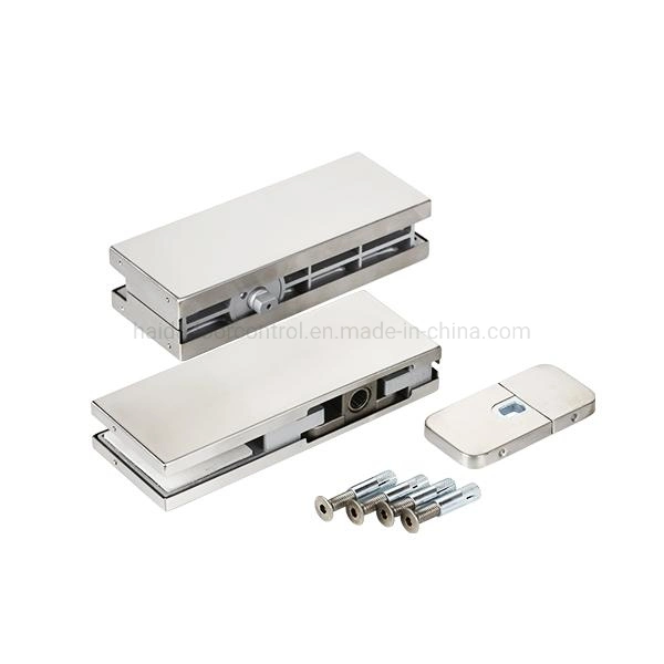 Adjustable Hydraulic Patch Fitting Glass Door Floor Spring Hinge