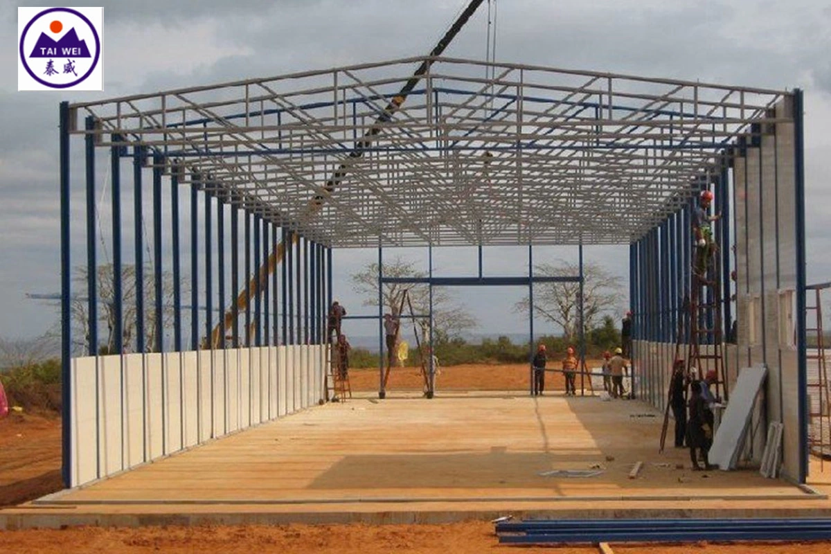 Prefabricated Large Steel Structure Metal Frame Industrial Commercial Building (TW604J)