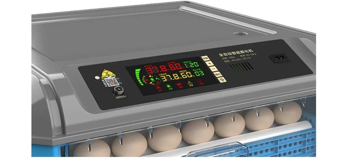 Farm Machines Chicken Duck Goose Fully Automatic Mini Egg Incubator