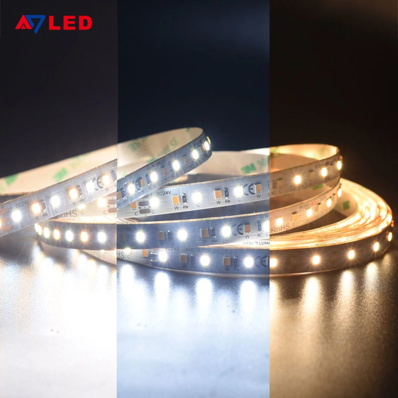 Supplier Brightest Commercial Decorative Installation Low Voltage Cuttable Weatherproof Waterproof Tunable White Dual Color Adjustable CCT LED Strip Light