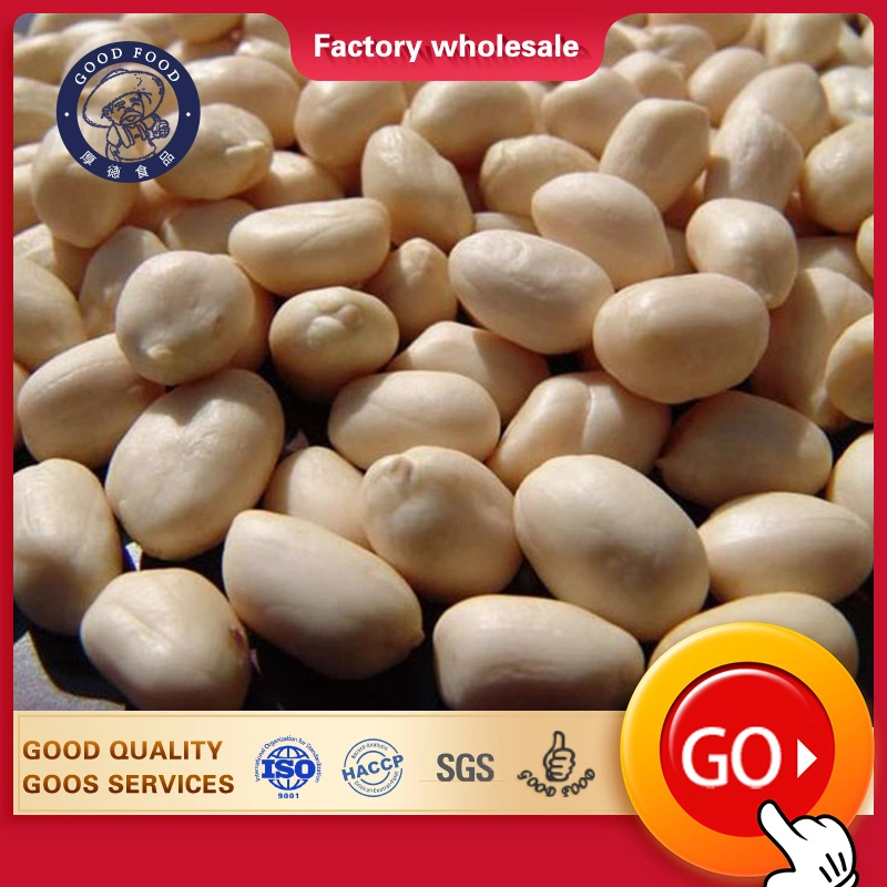 China New Crop Competitive Blanched Peanut Kernel (25/29)