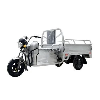 Saige Brand Electric Cargo Tricycle for Asian Market