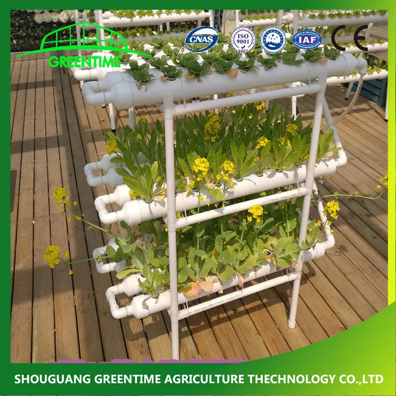 2021 Indoor Irrigation and Nft Hydroponics Growing Equipment DIY Easy to Install From China Supplier