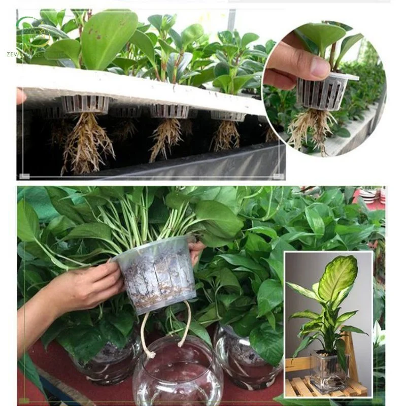 7Magic White Black Hydroponic Basket Mesh Net Cup hidroponic aeroponic Plantando vasos de berçário plantas sem solo orgânico