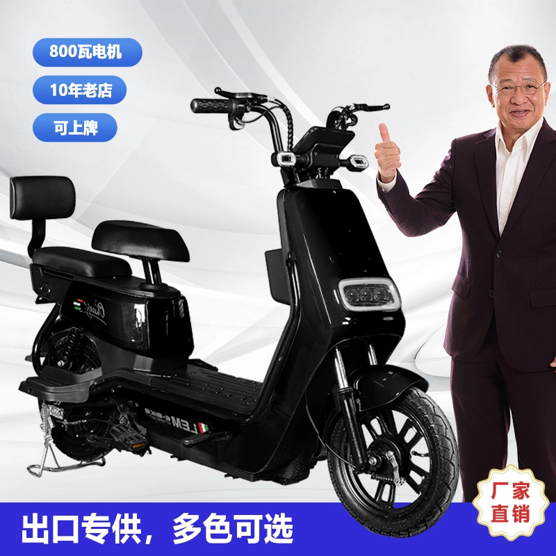 Adult Electric Scooters Portable Bicycle Fat Bike Dirt Ebike E Bike