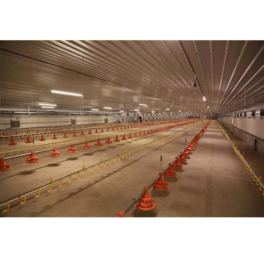 Poultry Farm Equipment Broiler Automatic Feeding Line Feed System