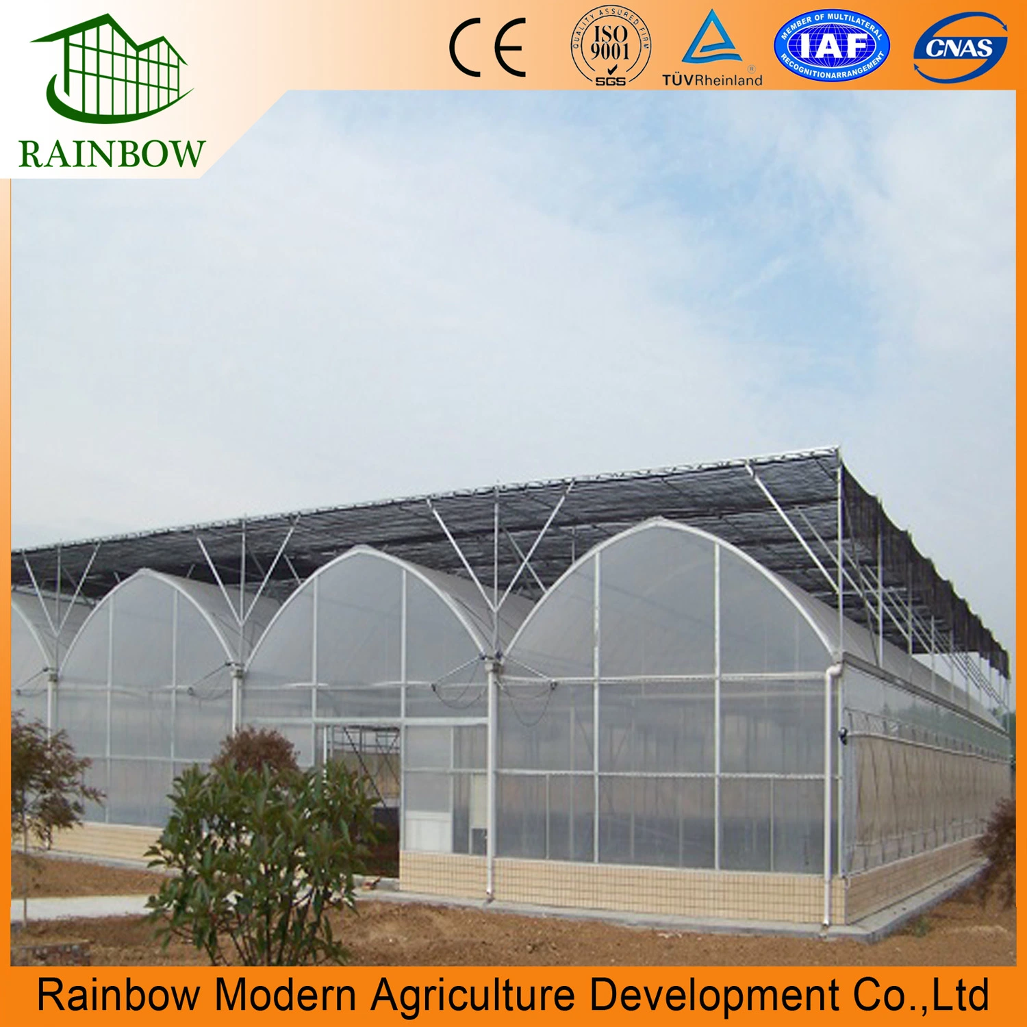 Hot Sale Multi Span 150/200 Microns Plastic Film Tunnel Greenhouse with Hydroponic Systems for Tomato/Cucumber/Vegetable/Fruit/Pepper/Eggplant Green Houses