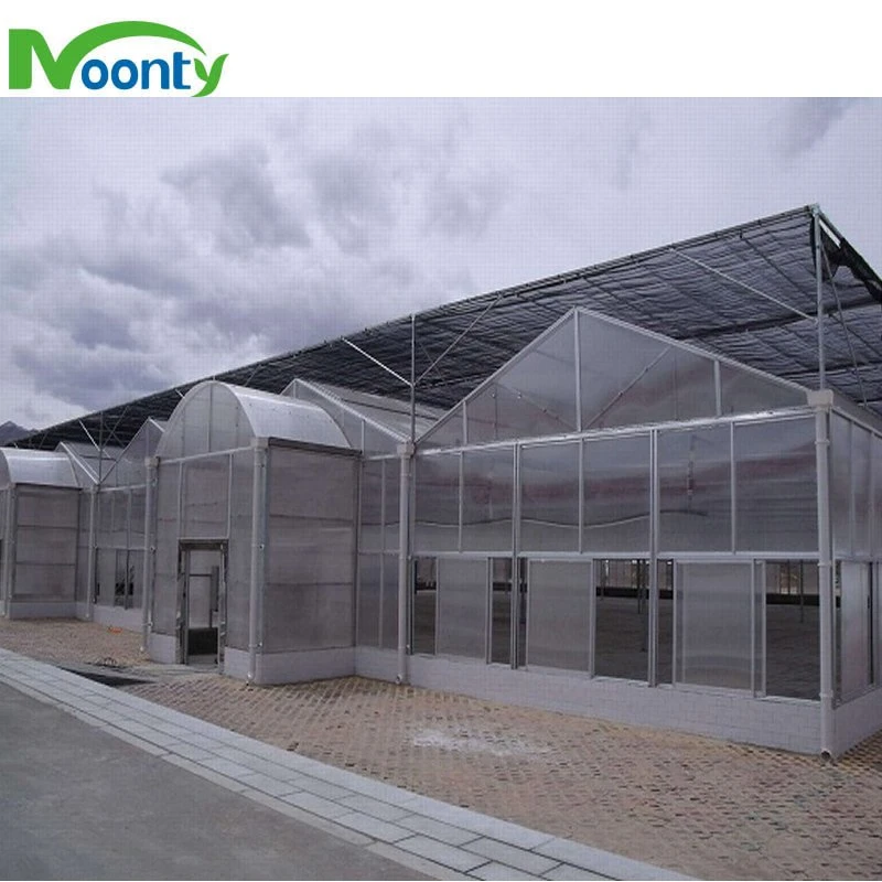 Venlo Type Polycarbonate/Glass Multispans Greenhouse with Hydro System