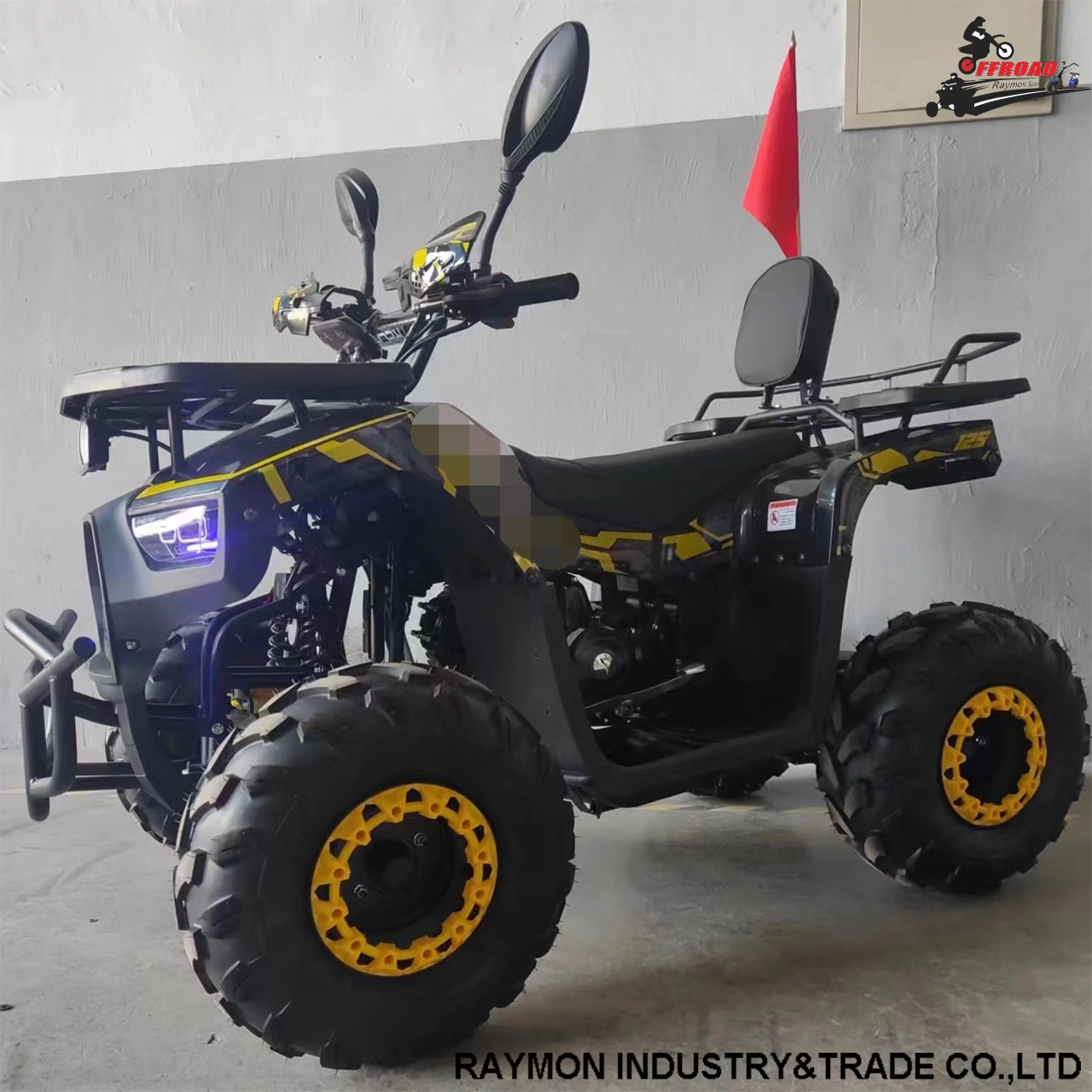 China Best Price Dune Buggy 110cc 125cc Big Kids ATV for Raymon