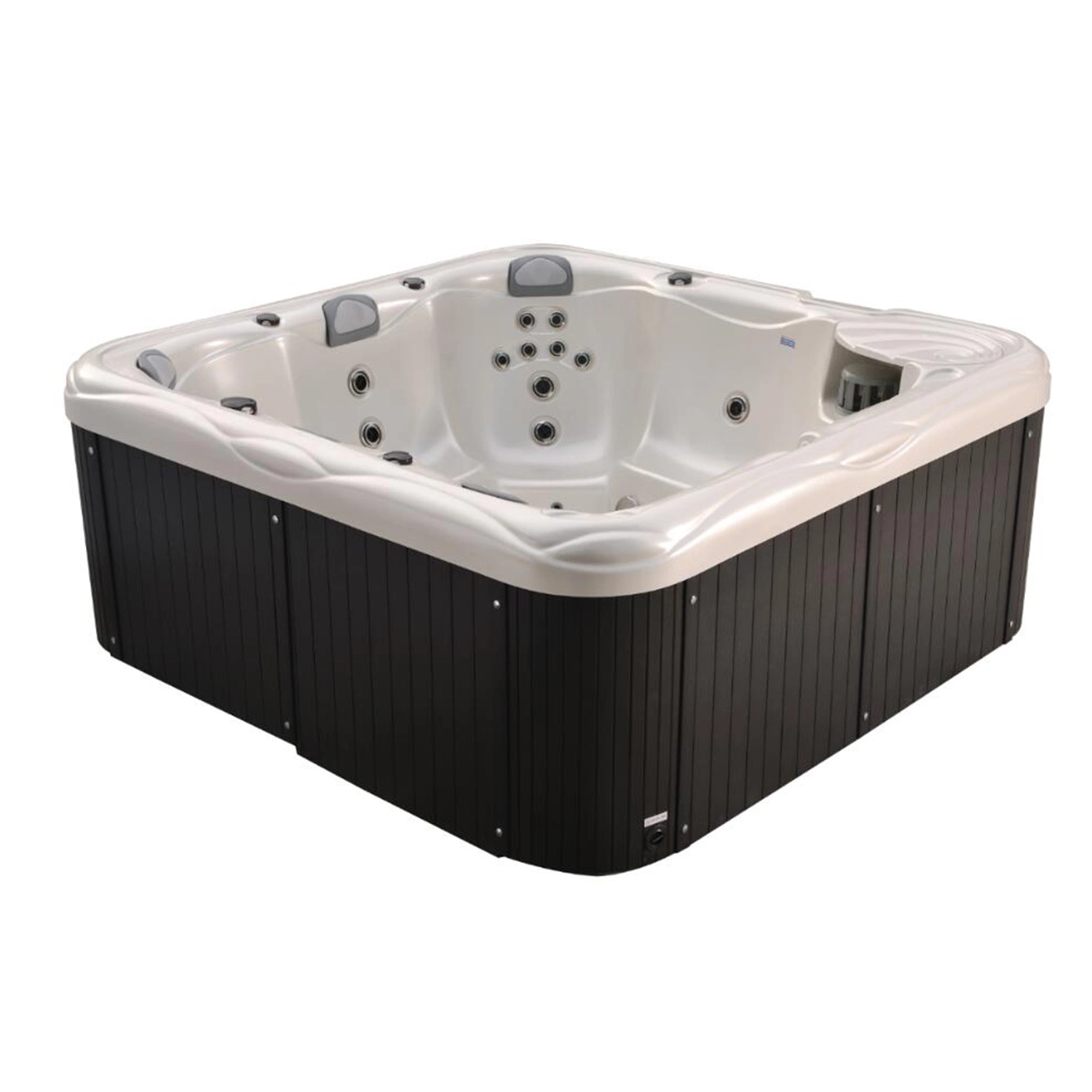 Sistema de Balboa massagem SPA Outdoorwhirlpool