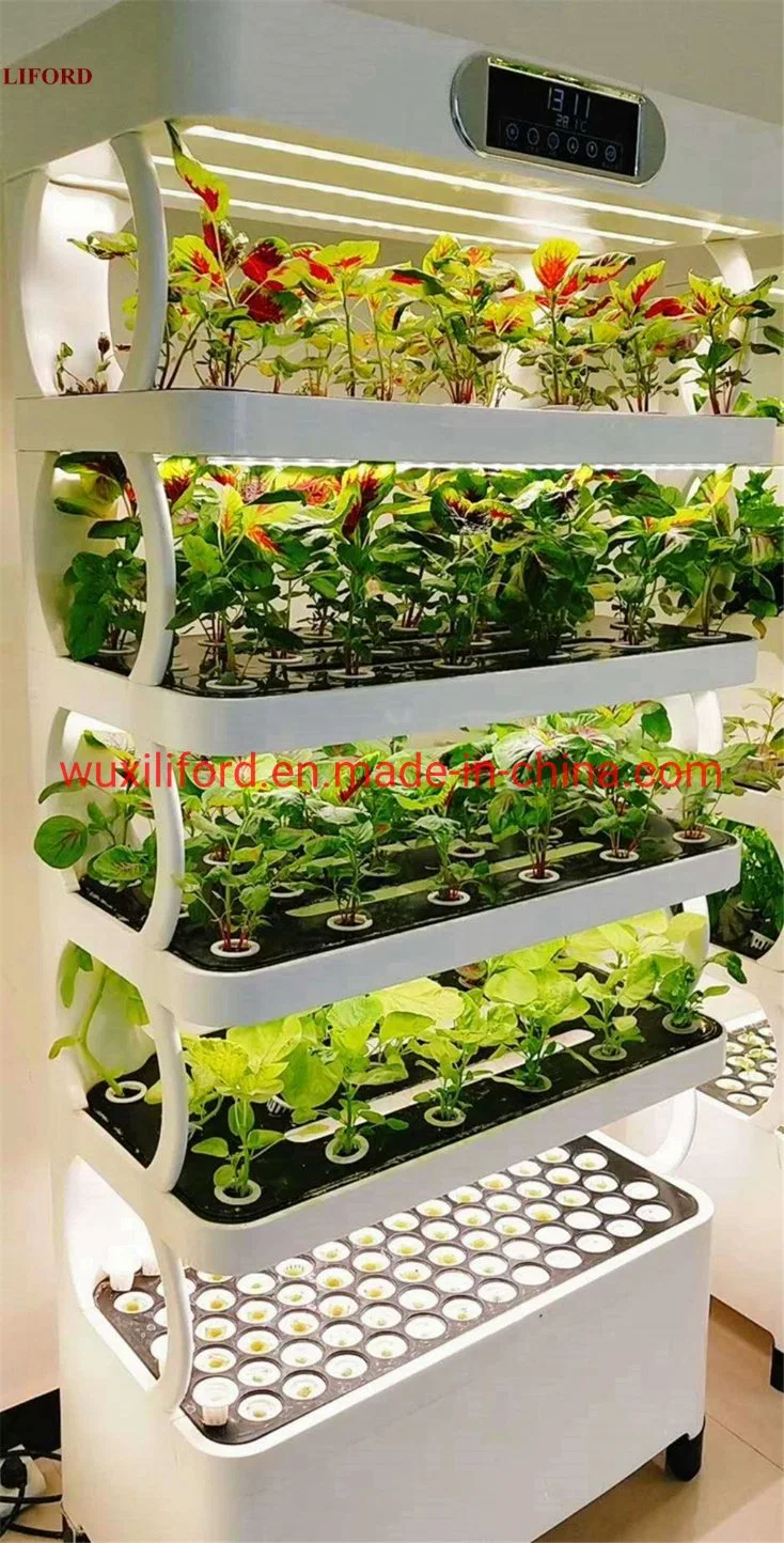 Sichere tragbare professionelle Smart Farm LED Hydroponics Systeme für Salat