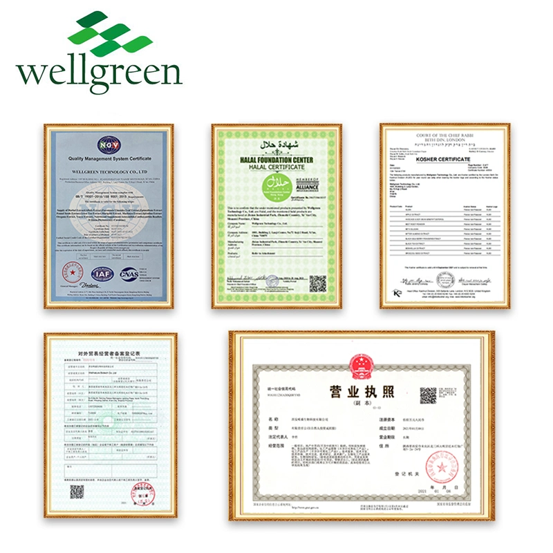 Wellgreen suministro de alimentos Grado de Alginato de sodio ácido algínico SAL de sodio