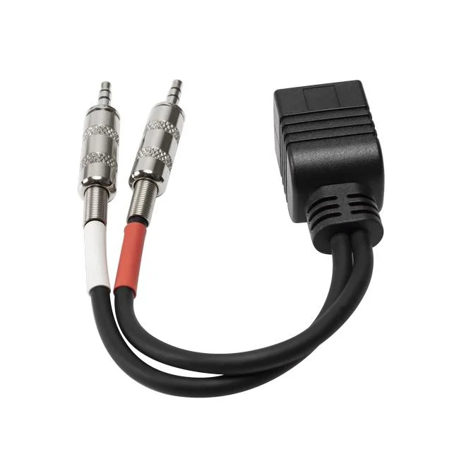 Kundenspezifischer Fabrikpreis Aluminium montiert Dual 3,5mm TRS Stereo Male Zu Ethernet RJ45-Audiokabel für Aaxia Equipmnet