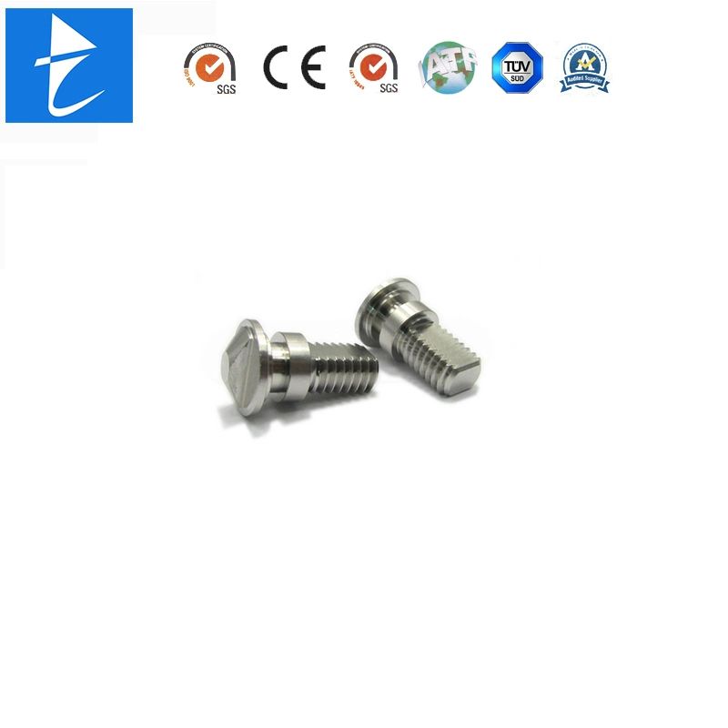 The Factory Custom OEM Precision Automatic Lathing Lock Spring Toggle Bolts