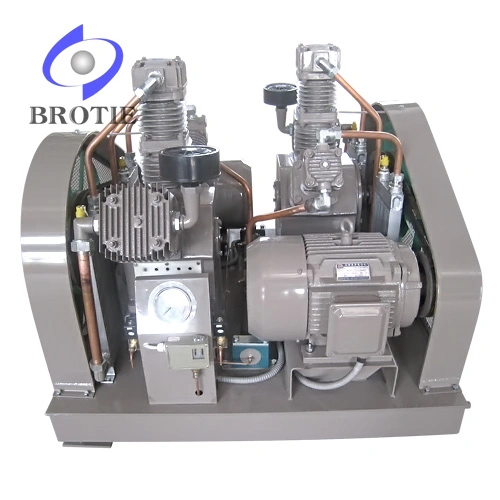 Brotie Oil-Free Oilless Air Compressor