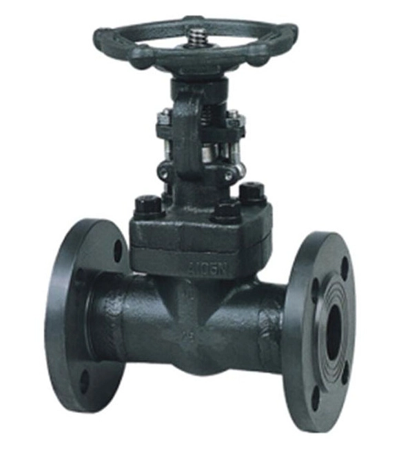 Forged Stainless Steel Manual Operation Flange Globe Valve