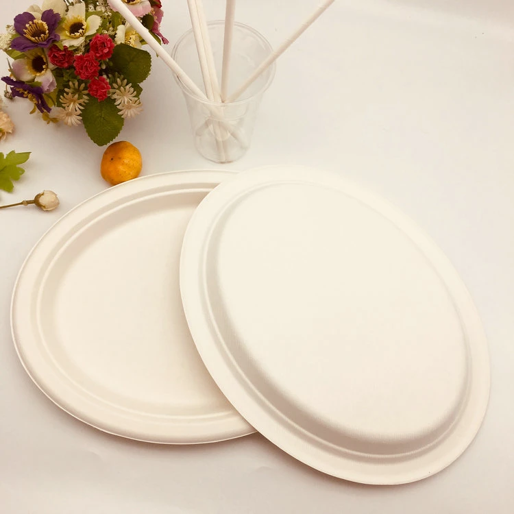 Hot Selling Sugarcane Bagasse Plates Medium Oval Plate