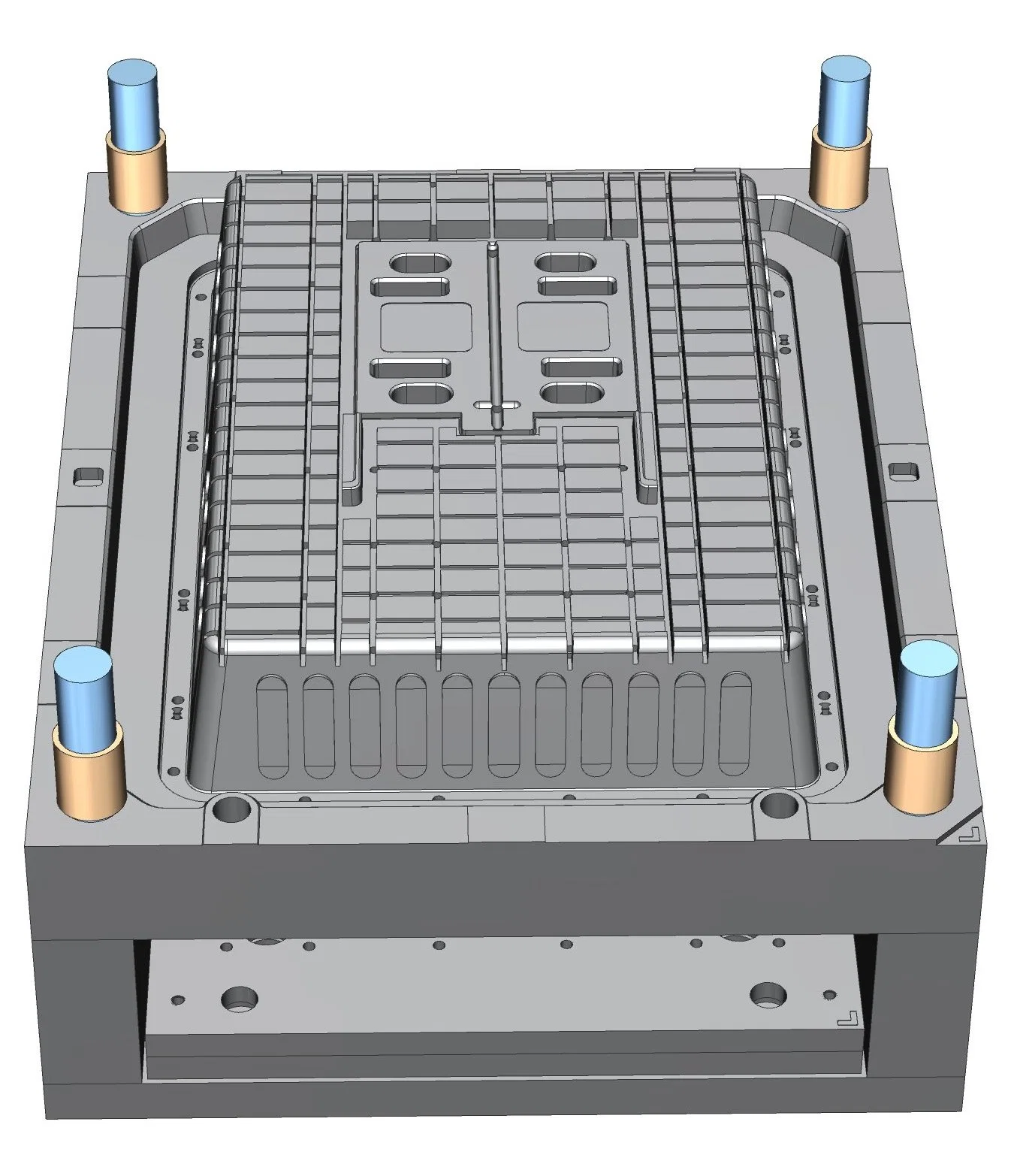 Molde de plantilla de caja de pollo de inyección plástica