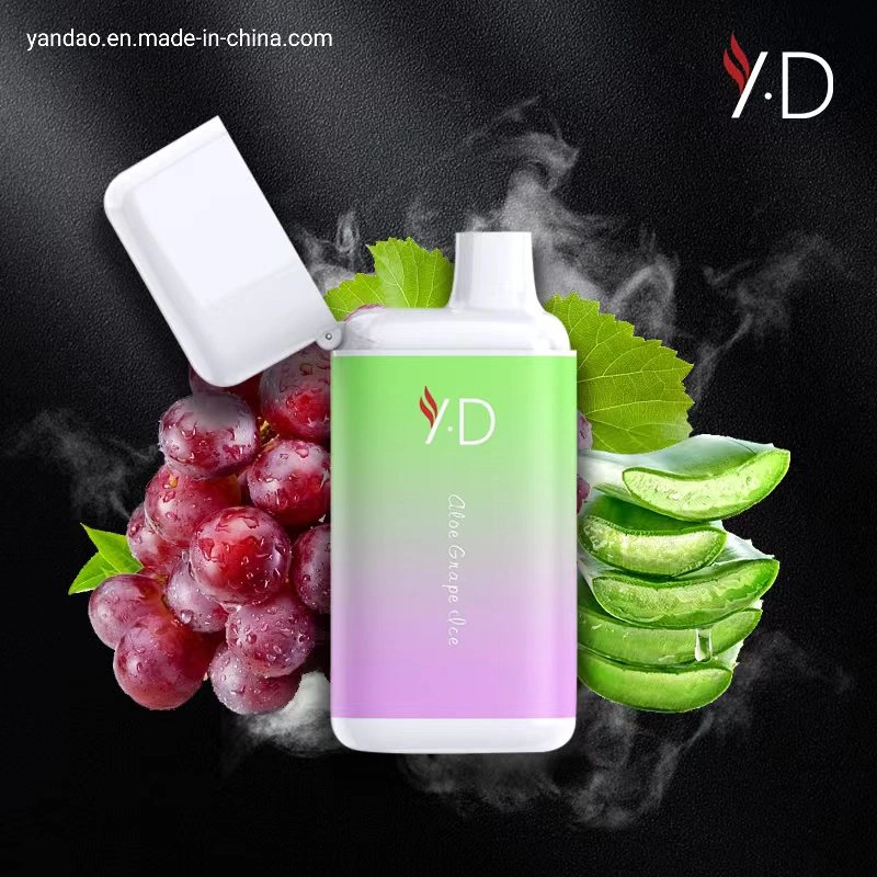 Mayorista/Proveedor de cigarrillos electrónicos OEM/ODM de la bobina de malla 5000bocanadas 10ml 650mAh Vape desechables Pen