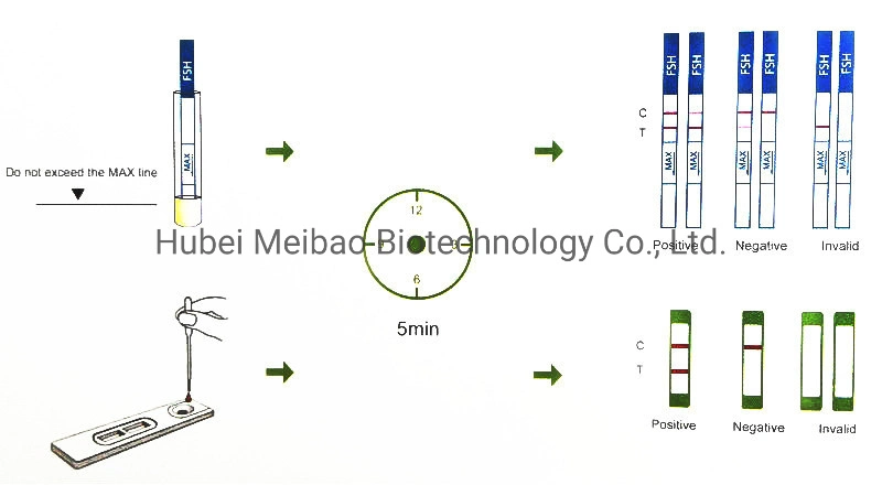 Haute précision jetables de FSH Kit de test rapide de bandelette de test de diagnostic