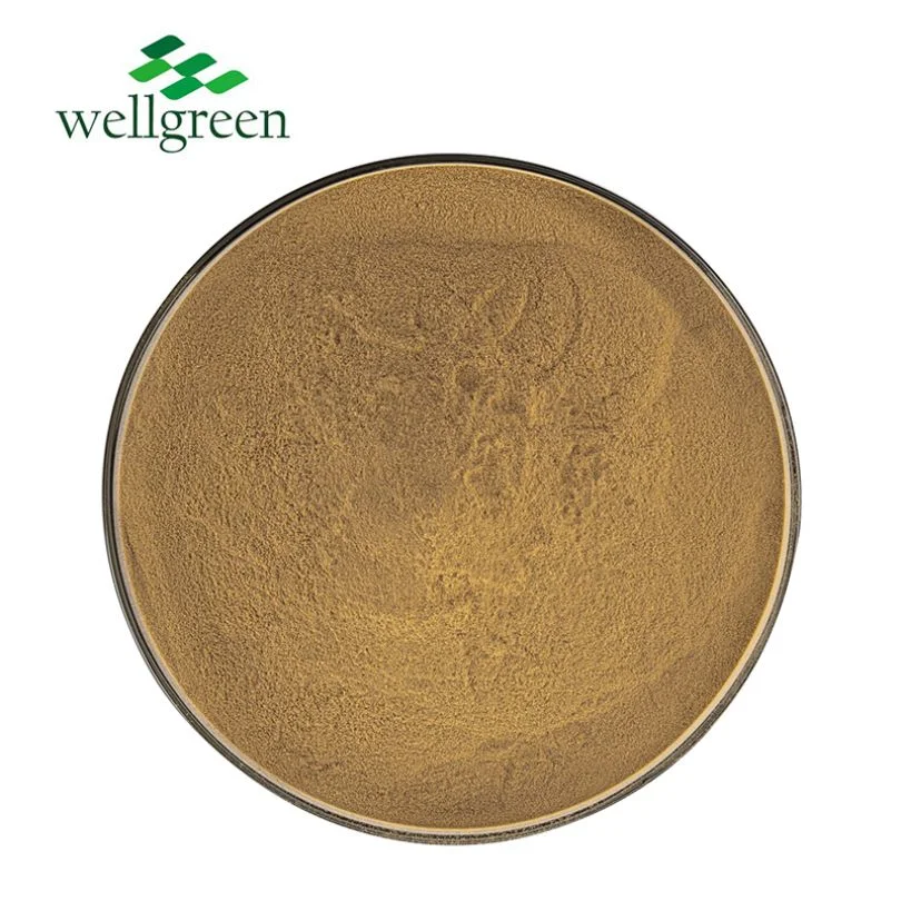 Wellgreen Herbal Factory Supply Bulk Flavonoids Citrus Aurantium Peel Extract Tangeritin