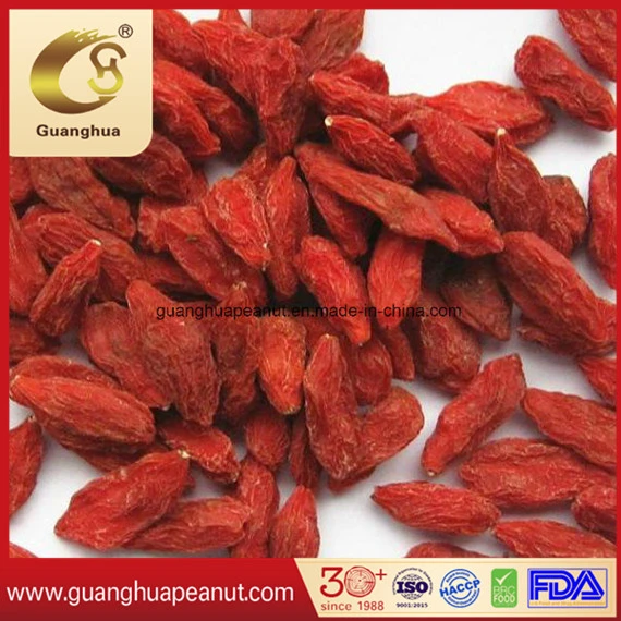 The Best Dried Goji Berry with Health and Good Quality