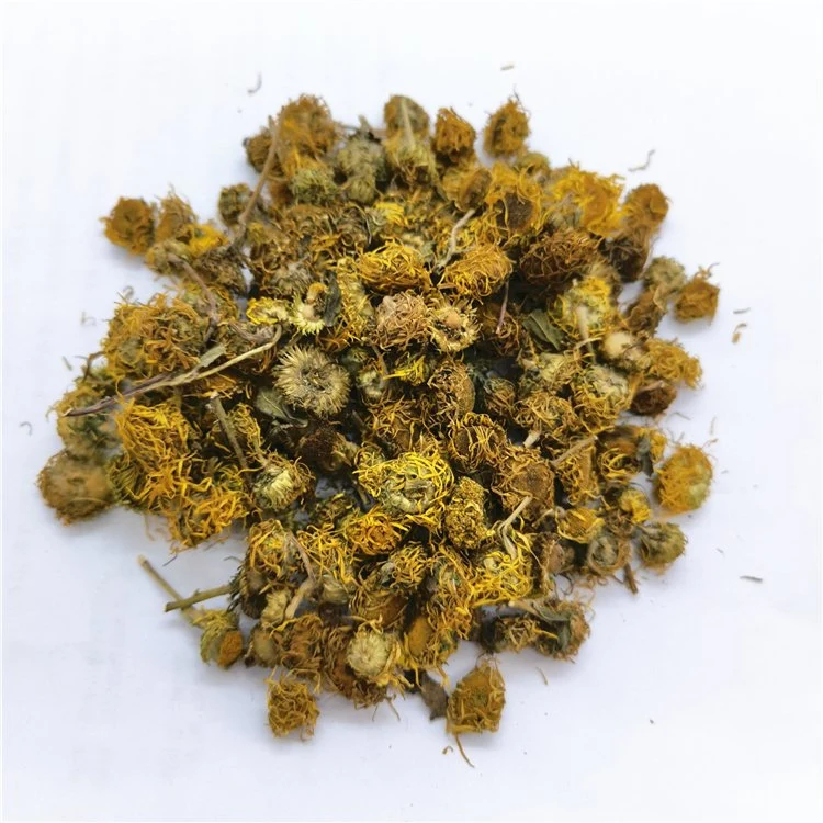 Xuan Fu Hua Flor natural China dreid inula Japónica Flores Para Herb