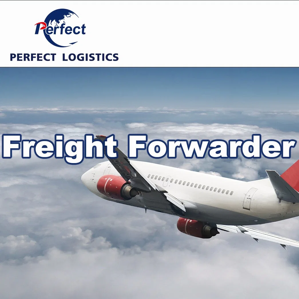 International China Air Freight Forwarder Shipping Agent From China to USA Canada Italy Belgium Netherlands Germany Poland Spain Europe