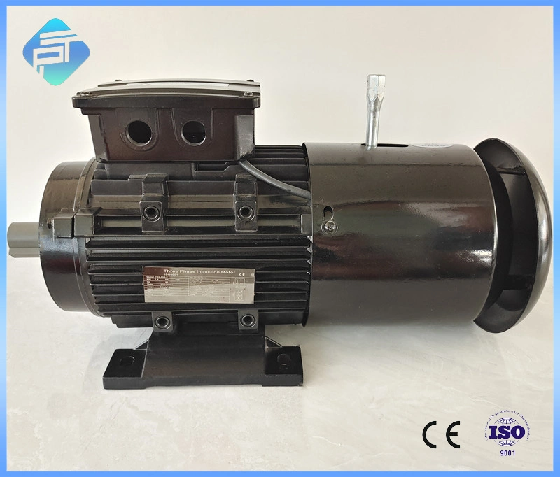 Yej Series 6 Poles Asychronous Electric Brake Three Phase Motor