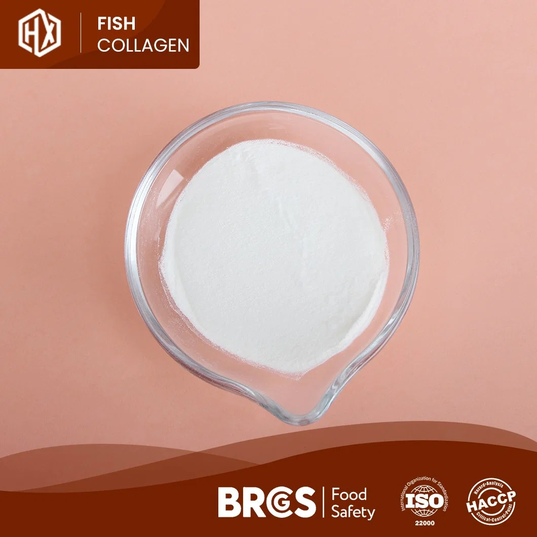 Haoxiang peptídeos de colágeno em pó de proteínas derivadas de tilápia fresco peixe suplementos alimentares de escala disponíveis de amostra branco ou amarelo pálido colágeno aparência