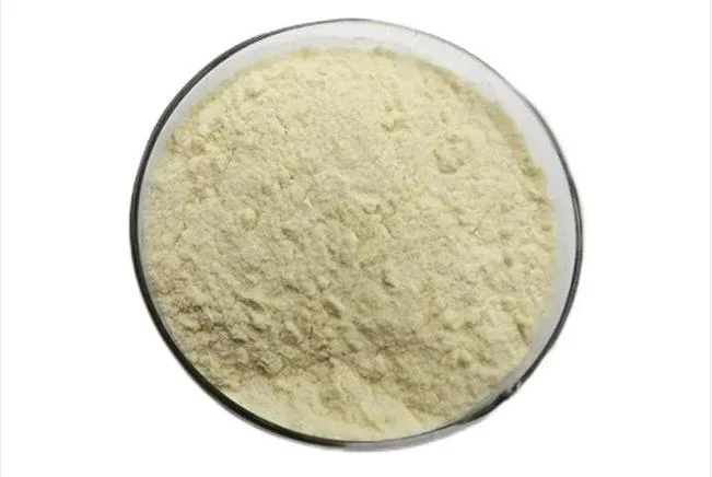 Health Food Supplement Pure Soy Protein Peptides Powder