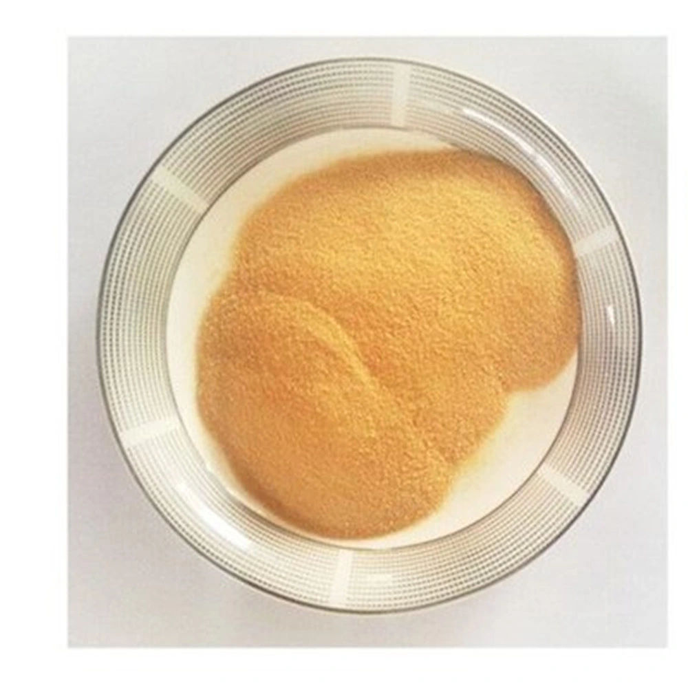 Hydrolyzed Corn Protein Powder in Bulk of Supply From Factory