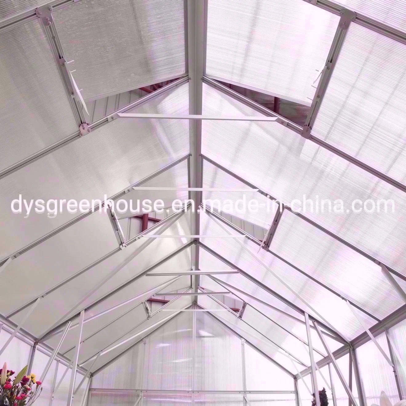 Classic Series Walk in Hobby Polycarbonate Sheet Green House with 6mm PC Sheet Rdgs0810-6mm