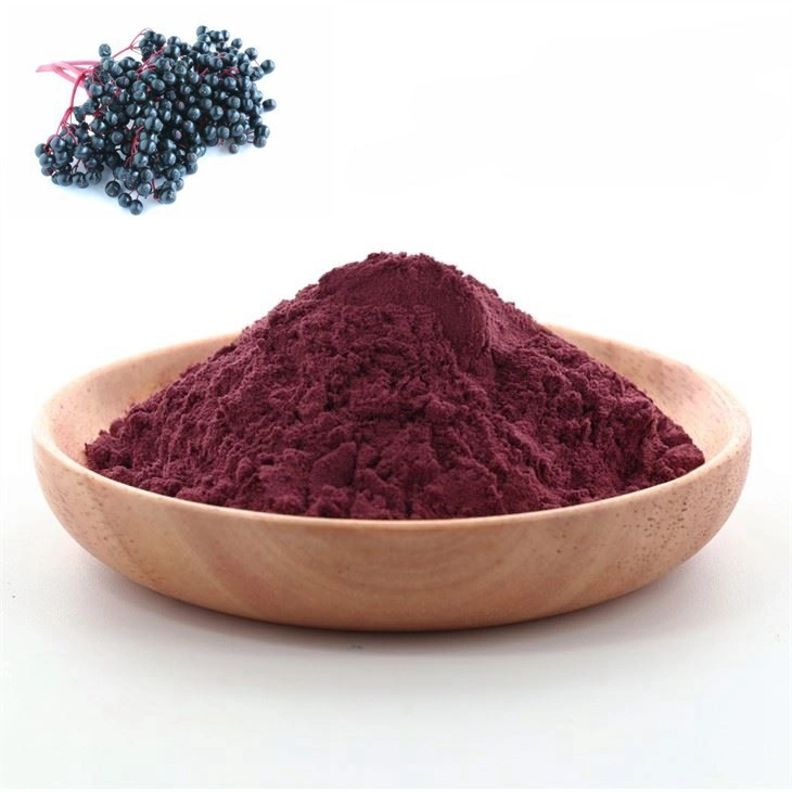 Hot Selling Black Elderberry Extract Powder / Elderberry Fruit Extract Powder