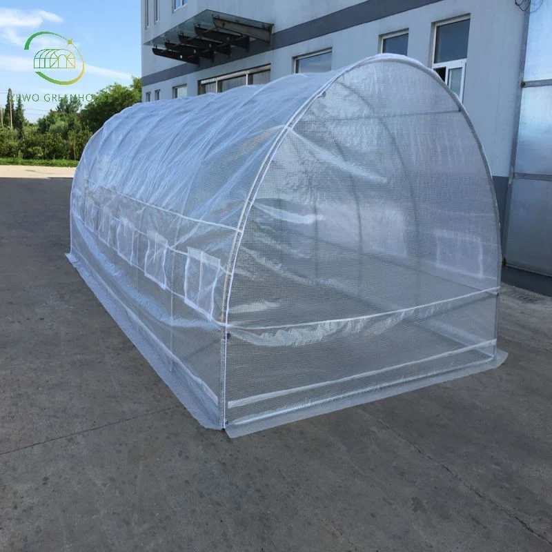 Low Cost Agricultural Home Garden Greenhouse with High quality/High cost performance  for Sale