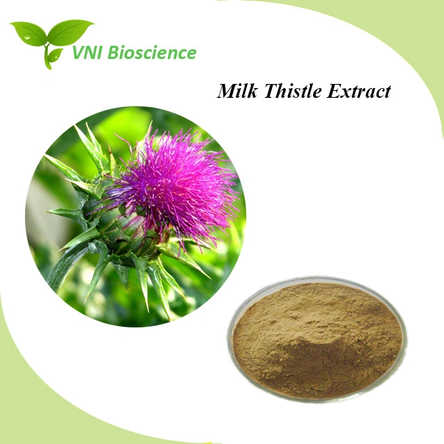 ISO Certified 100% Natural Milk Thistle Extract